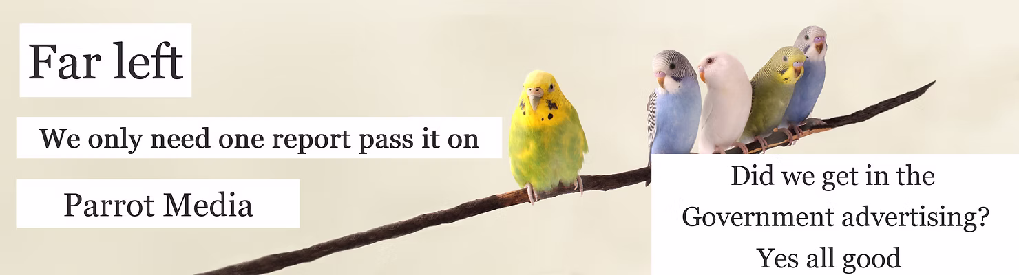 Parrot Media