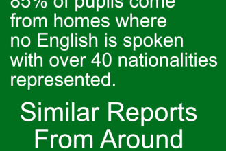 85% non Irish