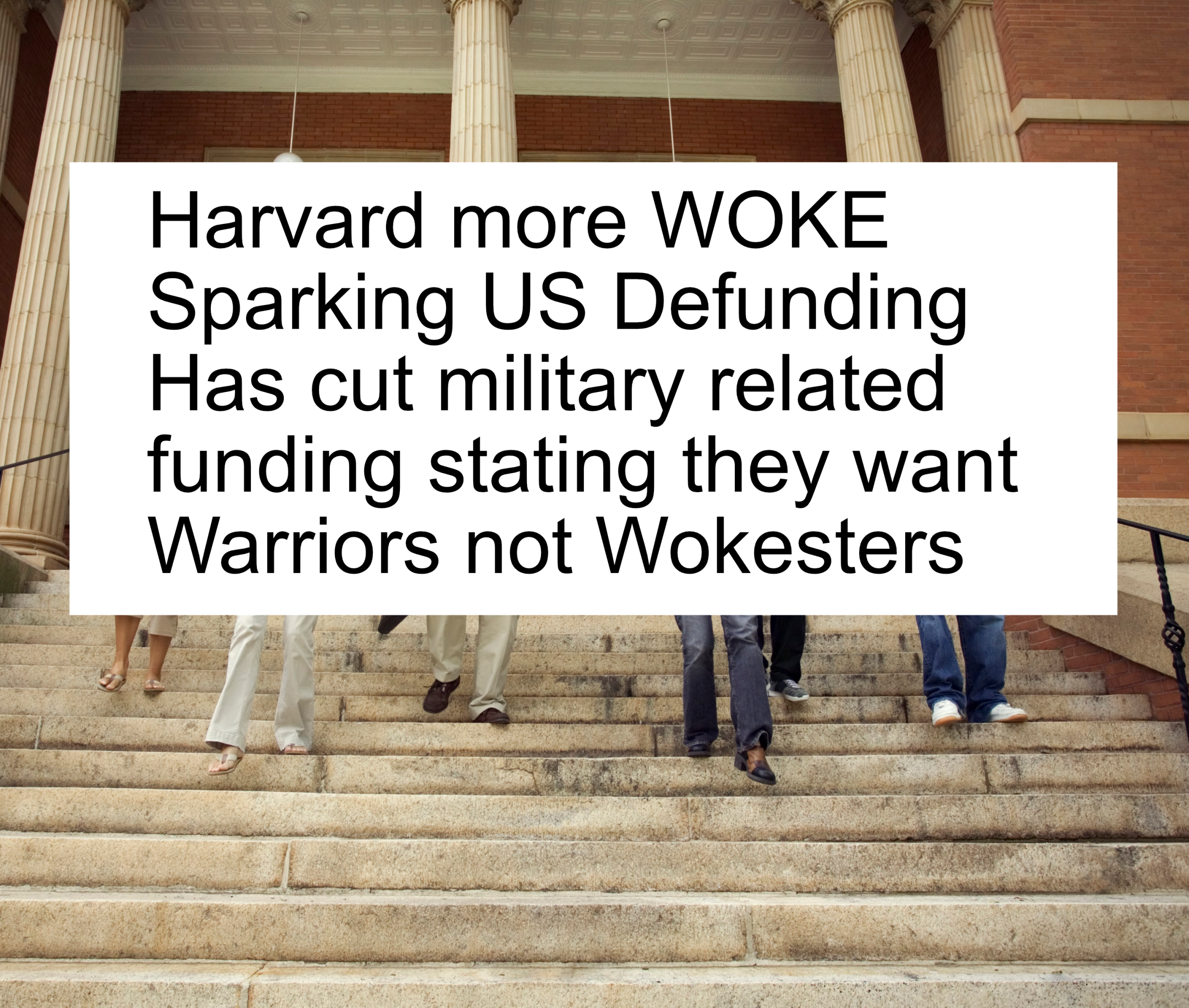 Warriors Not Wokesters