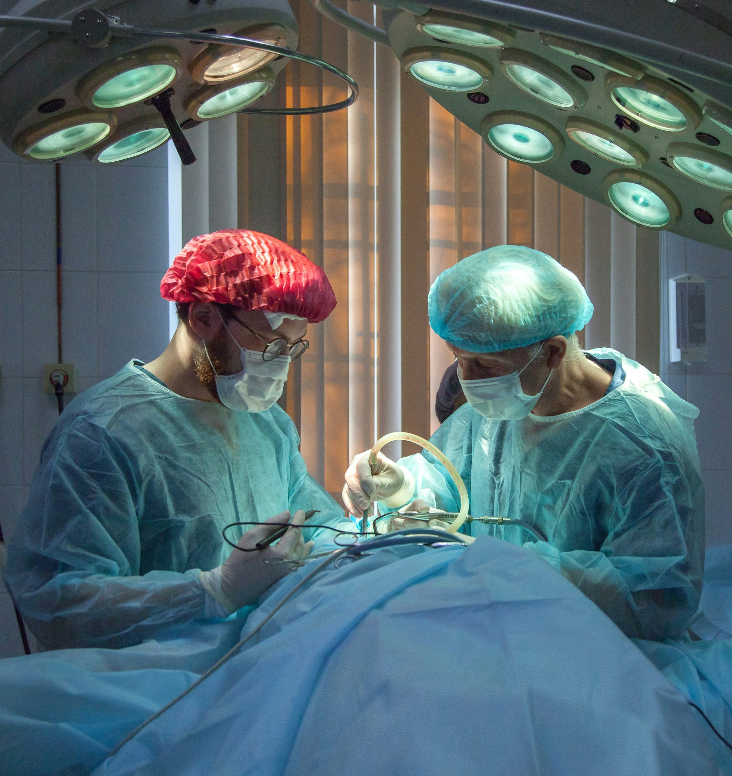 organ removal