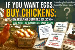 a_chickens and eggs_1